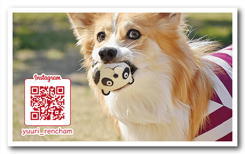 長方形ペット名刺の裏面画像