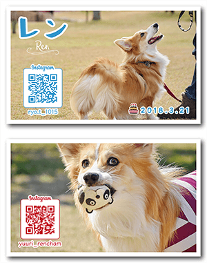 犬のペット名刺
