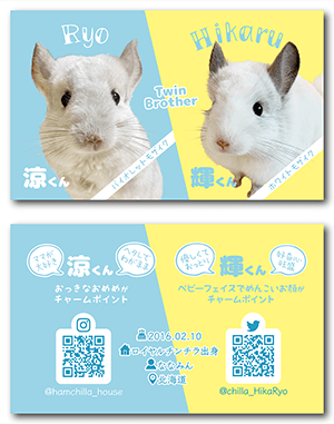 犬（多頭飼い）のペット名刺