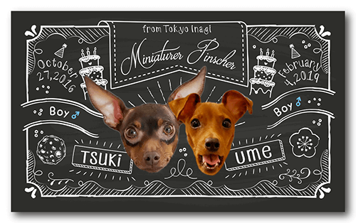 長方形ペット名刺の表面画像