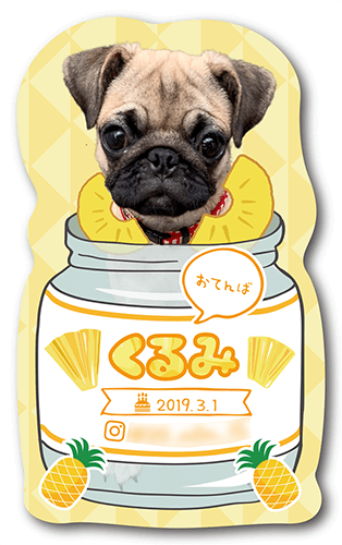 型抜きペット名刺の画像2