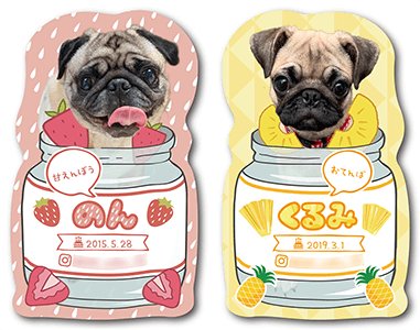 犬（多頭飼い）のペット名刺