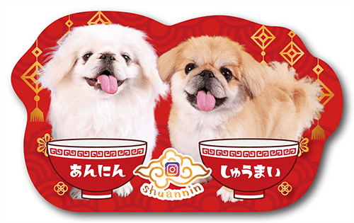 ペット名刺の表面画像