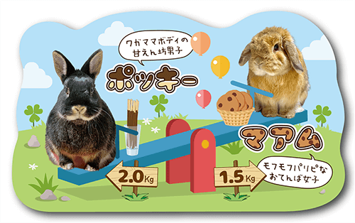 型抜きペット名刺の画像1