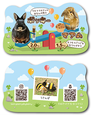 うさぎのペット名刺