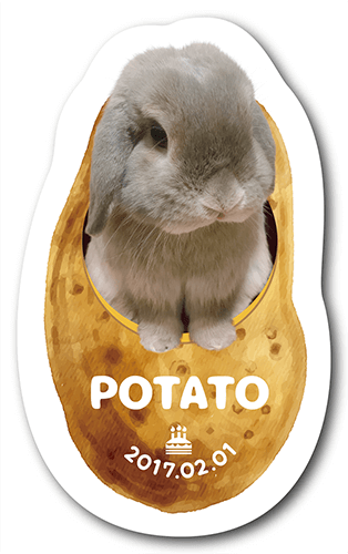 ペット名刺の表面画像