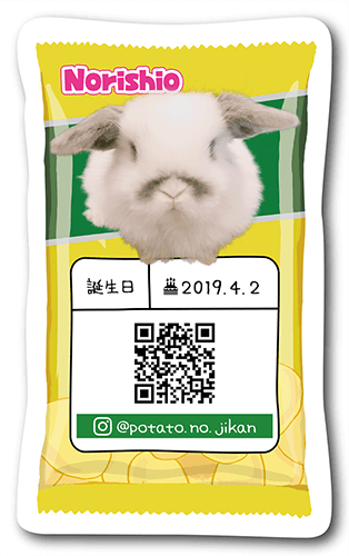 ペット名刺の裏面画像