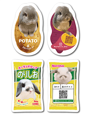 うさぎ（多頭飼い）のペット名刺