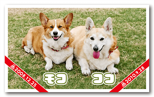 長方形ペット名刺の表面画像