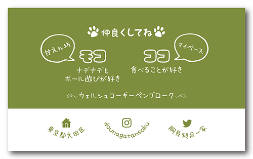 長方形ペット名刺の裏面画像