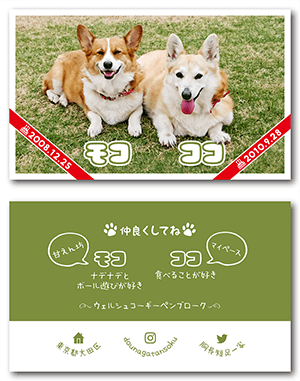 犬（多頭飼い）のペット名刺