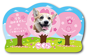 犬のペット名刺