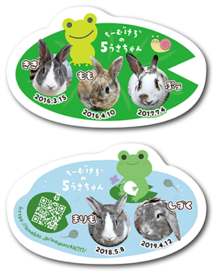 うさぎ（多頭飼い）のペット名刺