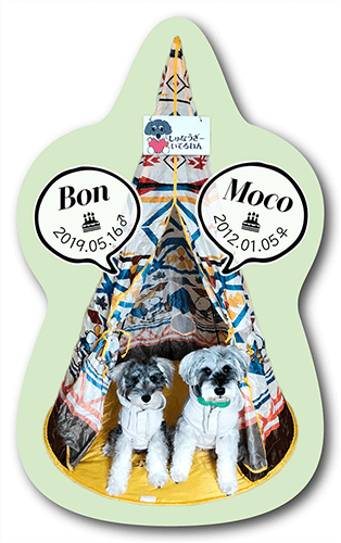 型抜きペット名刺の画像1