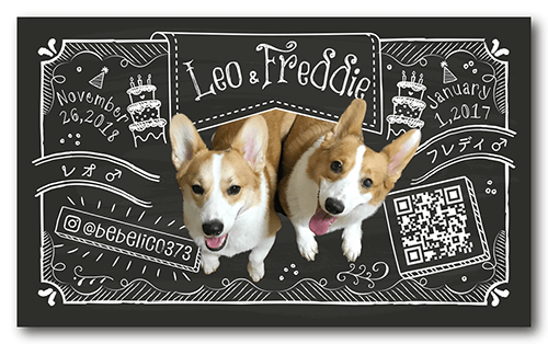 犬（多頭飼い）のペット名刺