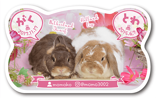 犬の型抜きペット名刺画像