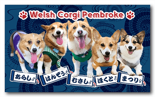 長方形ペット名刺の表面画像