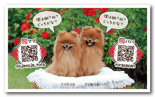 長方形ペット名刺の裏面画像