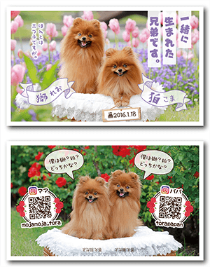 犬（多頭飼い）のペット名刺