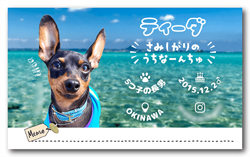 長方形ペット名刺の表面画像