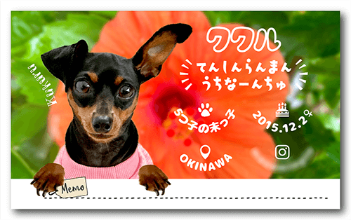 長方形ペット名刺の裏面画像