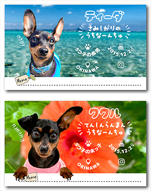 犬（多頭飼い）のペット名刺