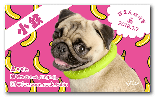 犬の長方形ペット名刺画像