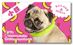 犬のペット名刺