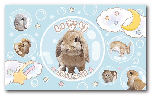 うさぎの長方形ペット名刺画像