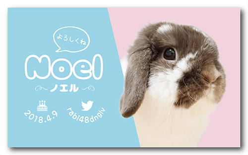 長方形ペット名刺画像