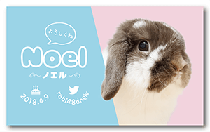 うさぎのペット名刺