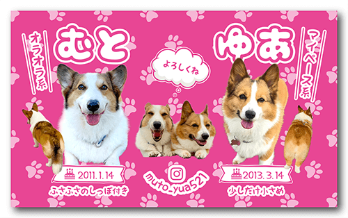 長方形ペット名刺の表面画像