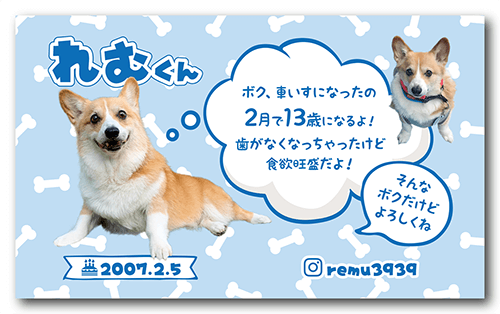 長方形ペット名刺の裏面画像