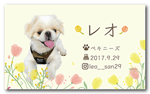 犬のペット名刺