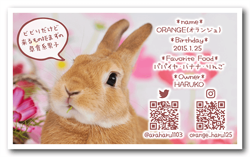 長方形ペット名刺の裏面画像