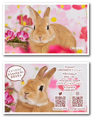 うさぎのペット名刺