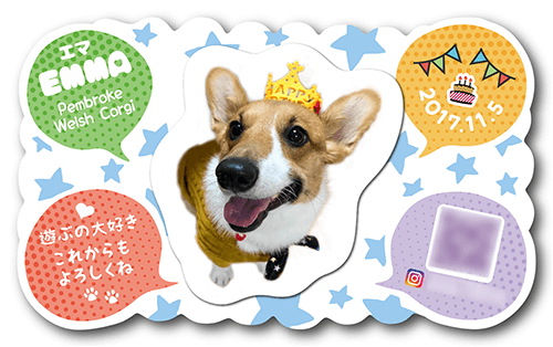 型抜きペット名刺の表面画像