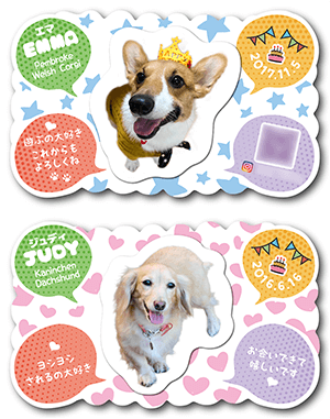 犬（多頭飼い）のペット名刺