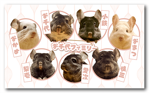 長方形ペット名刺の表面画像