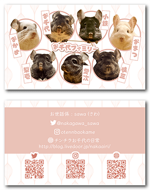 チンチラ（多頭飼い）のペット名刺