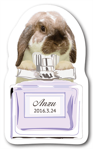 型抜きペット名刺の表面画像