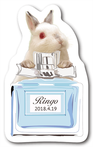 型抜きペット名刺の表面画像