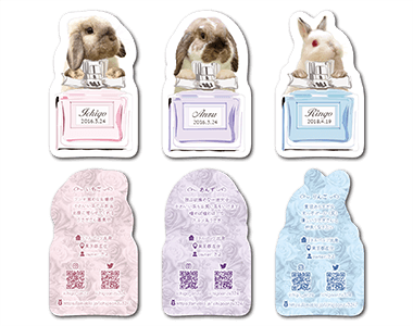 うさぎ（多頭飼い）のペット名刺