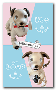 アイボの多頭飼いペット名刺