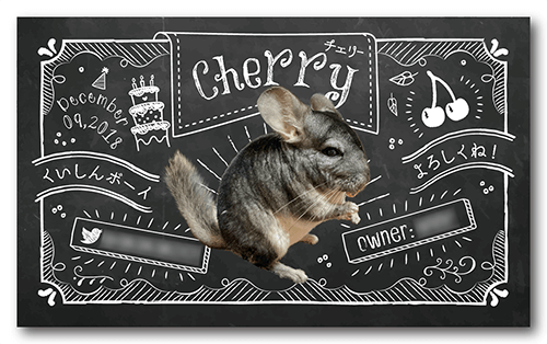 チンチラのペット名刺