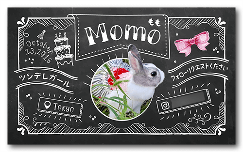 うさぎのペット名刺