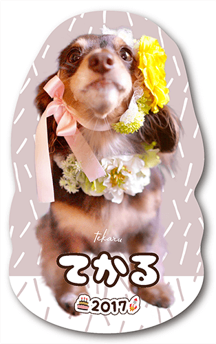 型抜きペット名刺の画像2