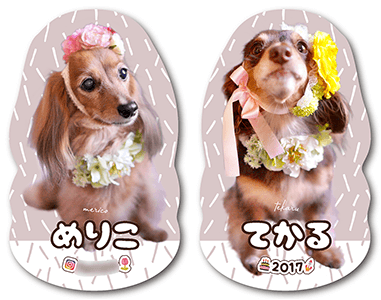 犬（多頭飼い）のペット名刺