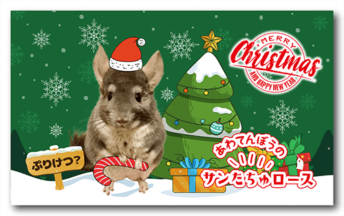 長方形ペット名刺の表面画像