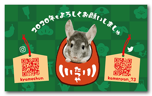 長方形ペット名刺の裏面画像